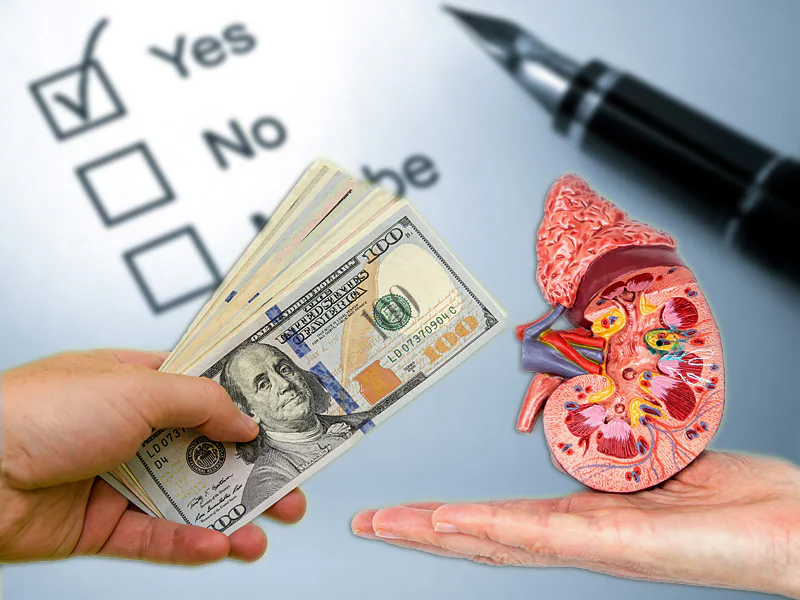 Financial counseling illustration